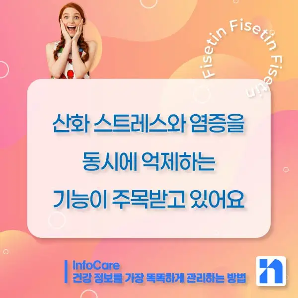 피세틴 효능 복용법