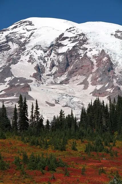 북서향 창문 식물 선택 저광량관리 물주기 식물등 세팅 가이드_4