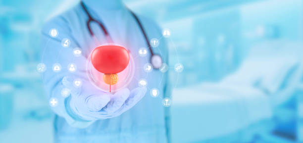 전립선 psa수치 낮게하는 방법