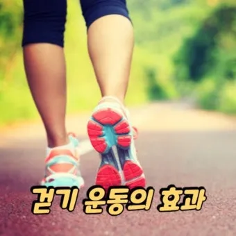 걷기운동 효과 좋은점 놀라운 효능 방법_13