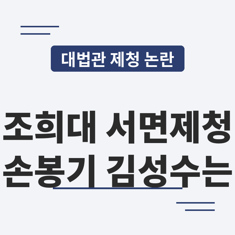 조희대 대법원장 서면 제청 논란, 손봉기 김성수 써네일