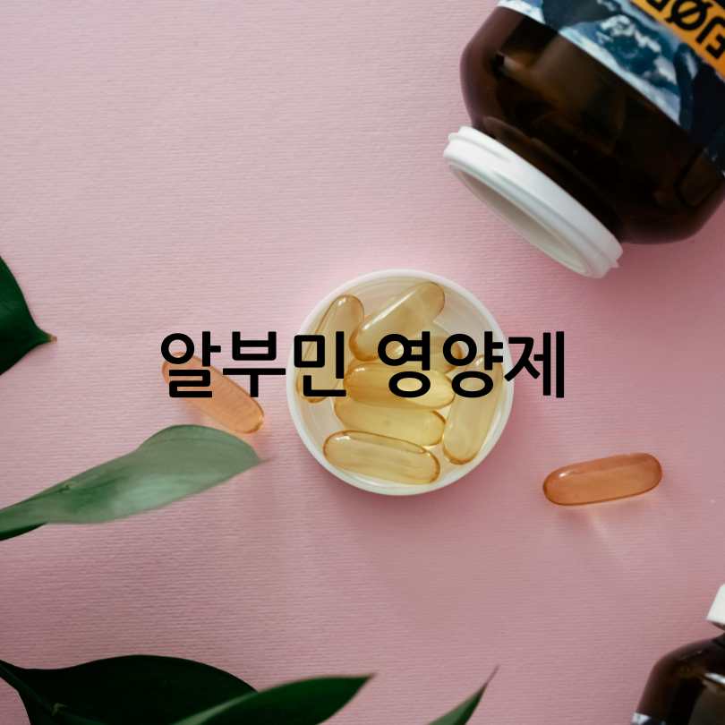 알부민 수치 올리는 법 