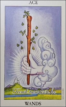 오늘의 타로 운세