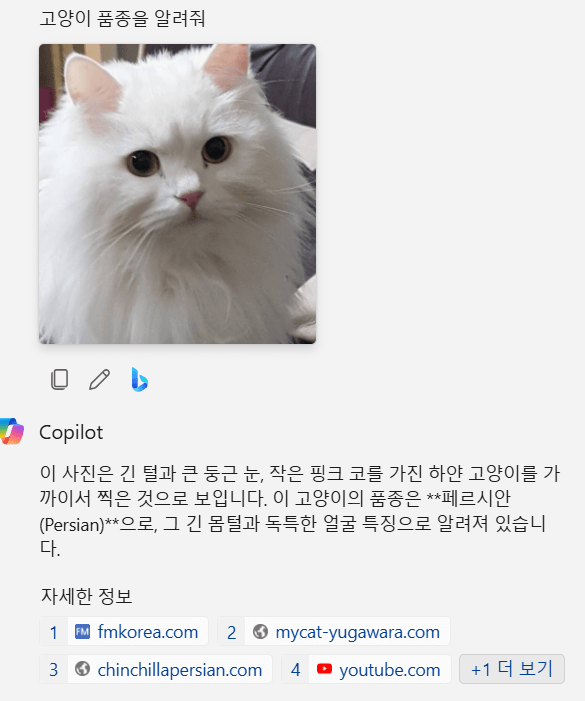 컴퓨터에서 고양이 품종 찾기