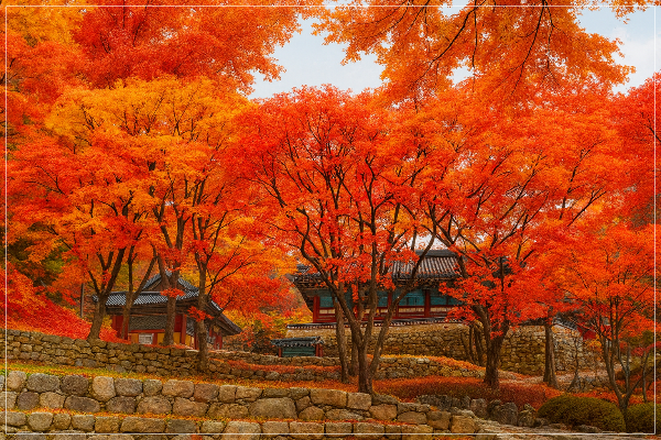 무등산 증심사 이미지/ 출처: By Dalgial - 자작, CC BY-SA 3.0+AI 이미지