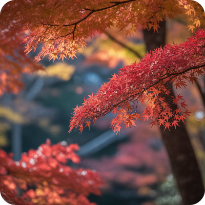 2025 지리산 단풍명소 &amp; 단풍절정시기 이미지