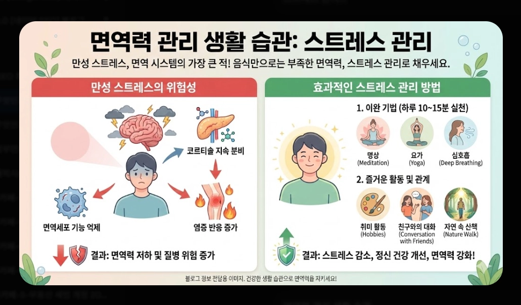 면역력 높이는 음식 베스트 10 [2026년판] 강화 식품 섭취법 및 생활 습관 총정리