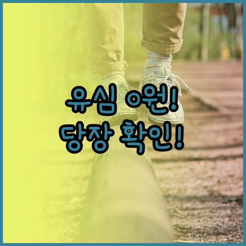 알뜰폰 유심 0원 혜택 공식몰과 금융..