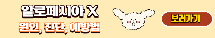 알로페시아 원인&#44; 진단&#44; 예방법