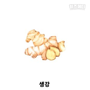 입덧에 좋은 음식