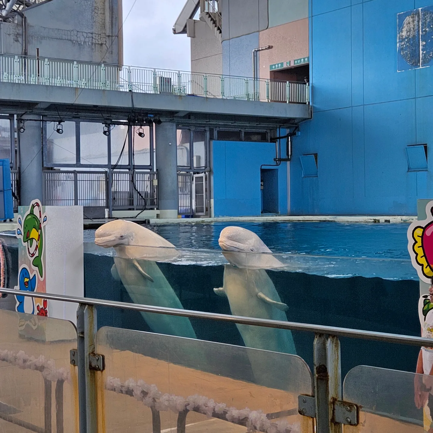 🚂🚃 아이와 함께 떠난 에노시마 &amp; 요코하마 4일 여행! 쇼난 모노레일&amp;#44; 에노덴&amp;#44; 컵누들 박물관까지 [가족여행/아이와가볼만한곳]