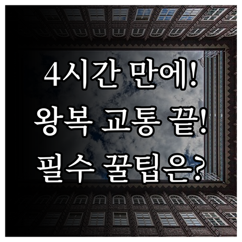 불국사 석굴암 왕복 교통 완벽 정리 ..