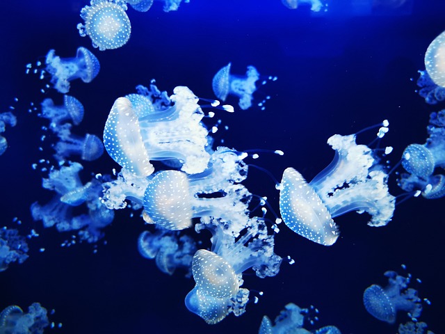 독가스로 숨 쉬는 생명: 황화수소 가득한 지옥에서도 살아남다