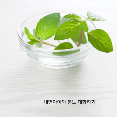 분노를 건강하게 표현하는 법