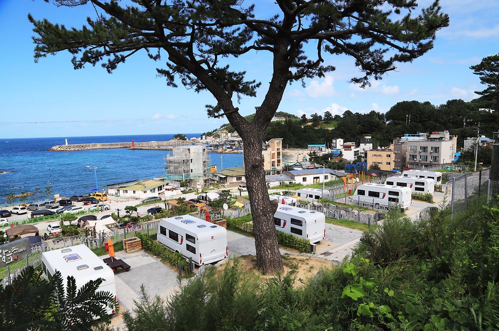 강원도 삼척 장호비치캠핑장 소개