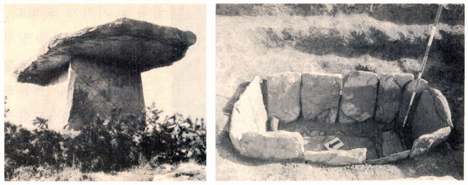 고인돌(황해 은율)과 돌널무덤(충남 부여)