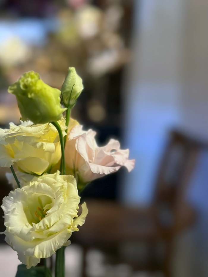 교토 카페 추천 꽃향이 가득한 교토 인스타 핫플레이스 1er ETAGE プルミエ・エタージュ