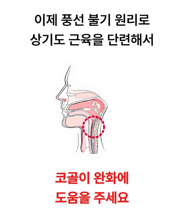 이지앤안고라 호흡기 운동기로 코골이 완화에 도움을 주세요