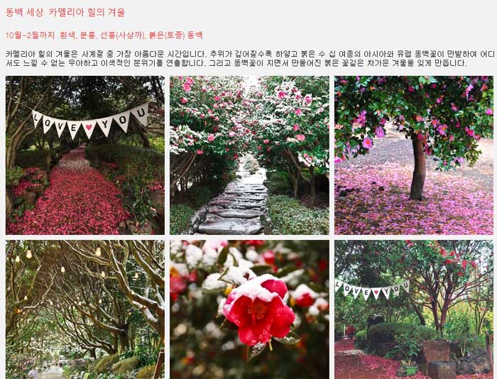 제주도 눈올때 가볼만한곳