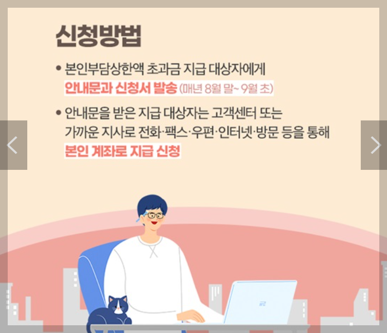 본인부담상한액 초과금 조회