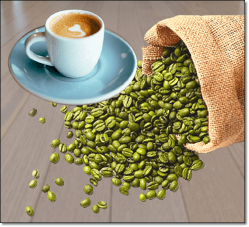 커피콩에 풍부한 클로로겐산