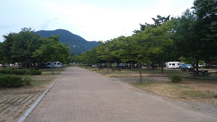 캠핑의 성지, 자라섬캠핑장 소개