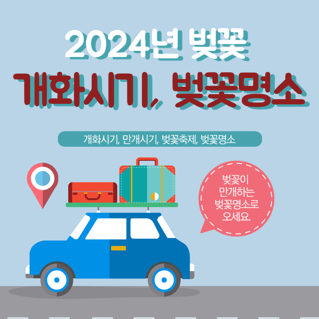 2024년 벚꽃 개화시기 및 전국 벚꽃 축제 명소