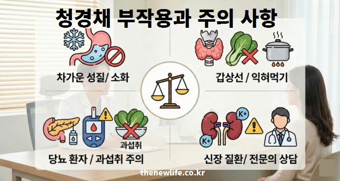 차가운 성질로 인한 소화 불량, 갑상선 기능 저하증 및 신장 질환 환자의 섭취 주의 사항을 정리한 청경채 부작용 인포그래픽