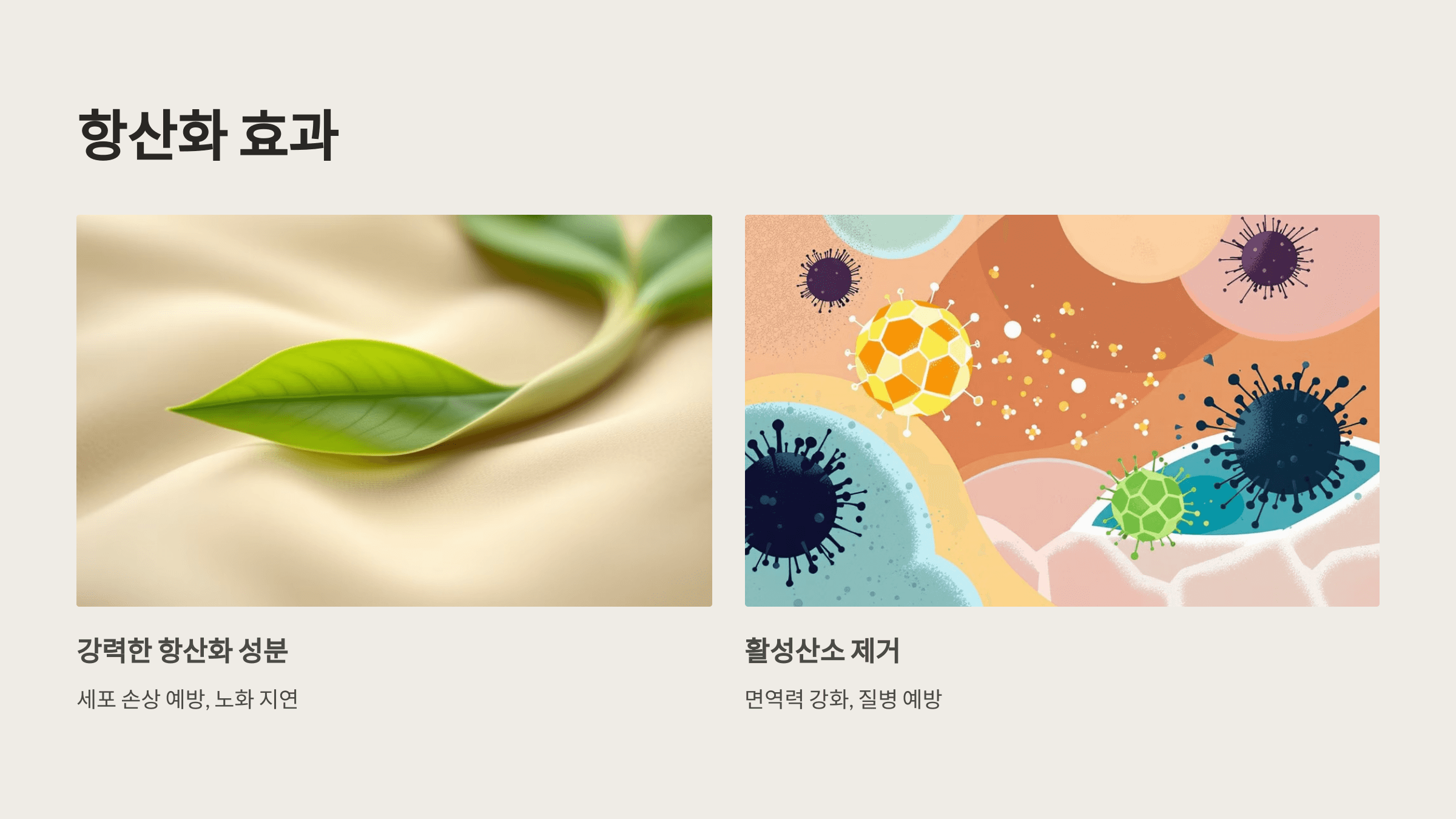 둥굴레 사진입니다.