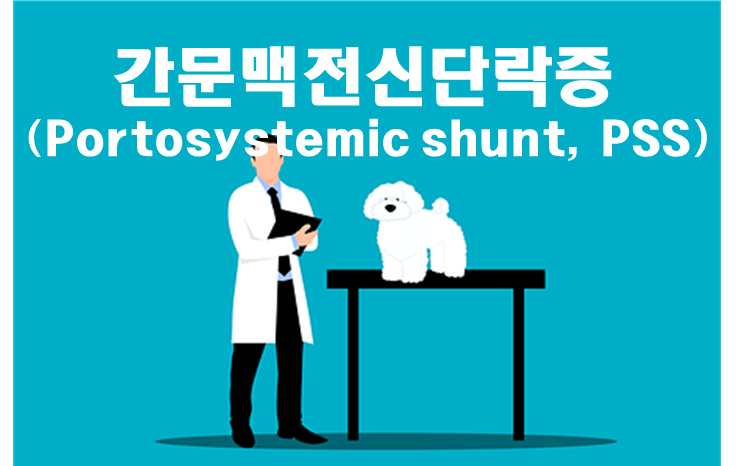 수의사와 강아지가 그려져 있고 간문맥전신단락증에 대해 설명하고 있다