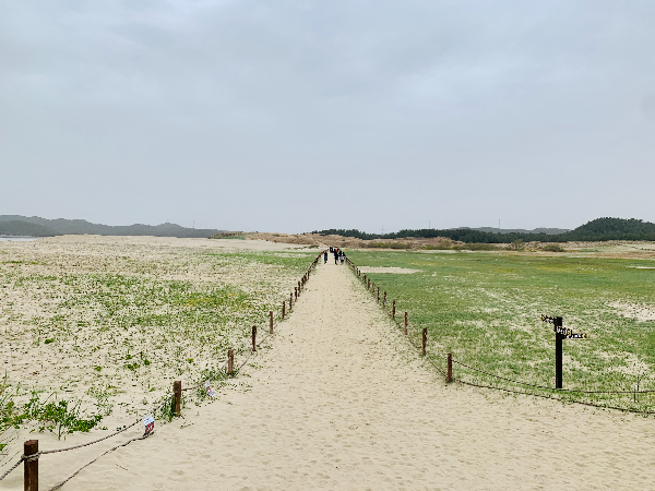신두리 해안사구 전경