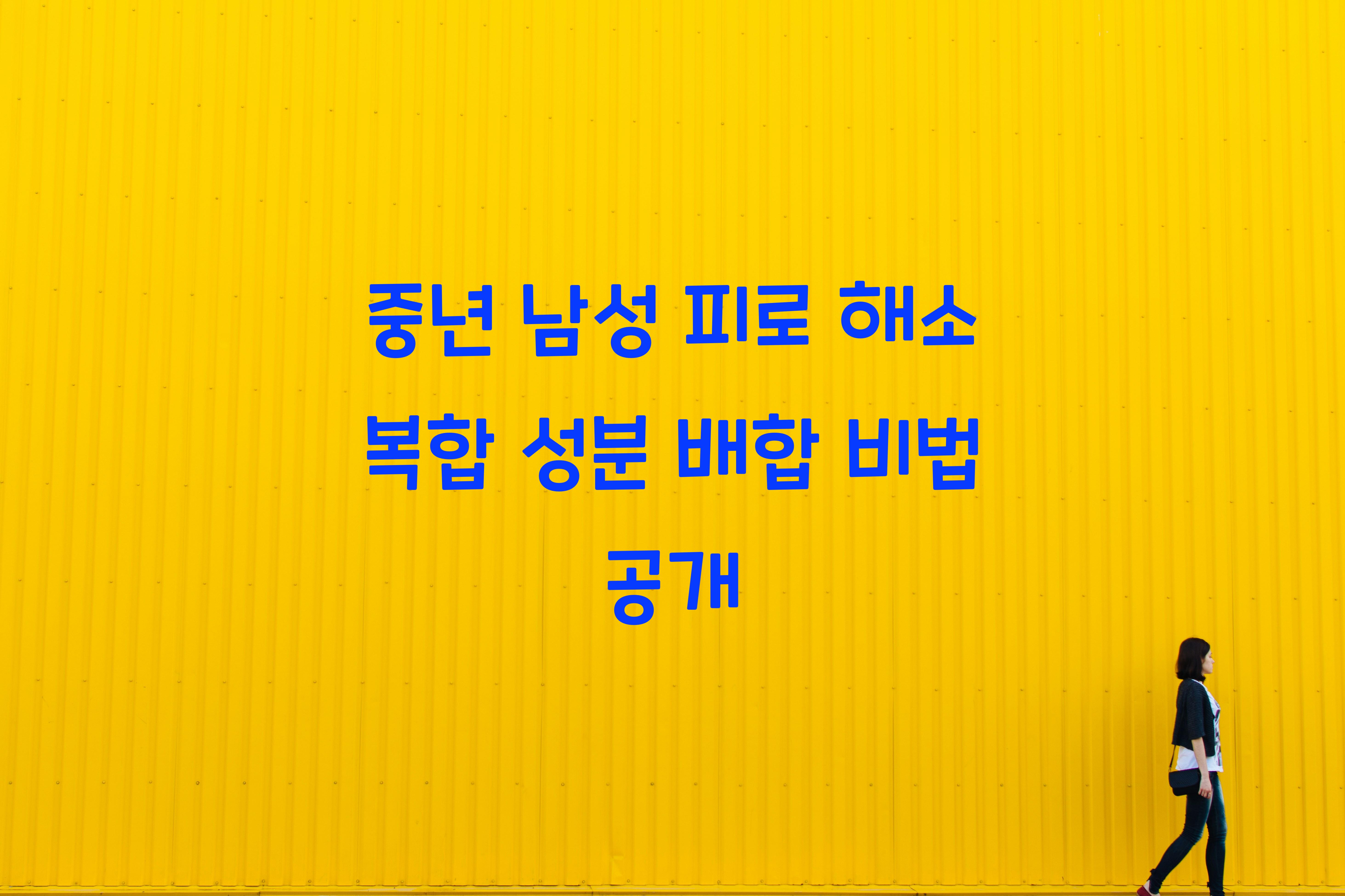 중년 남성 피로 해소 복합 성분