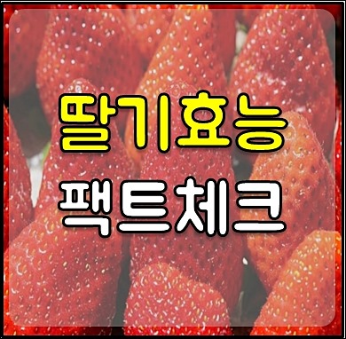 딸기 부작용 1