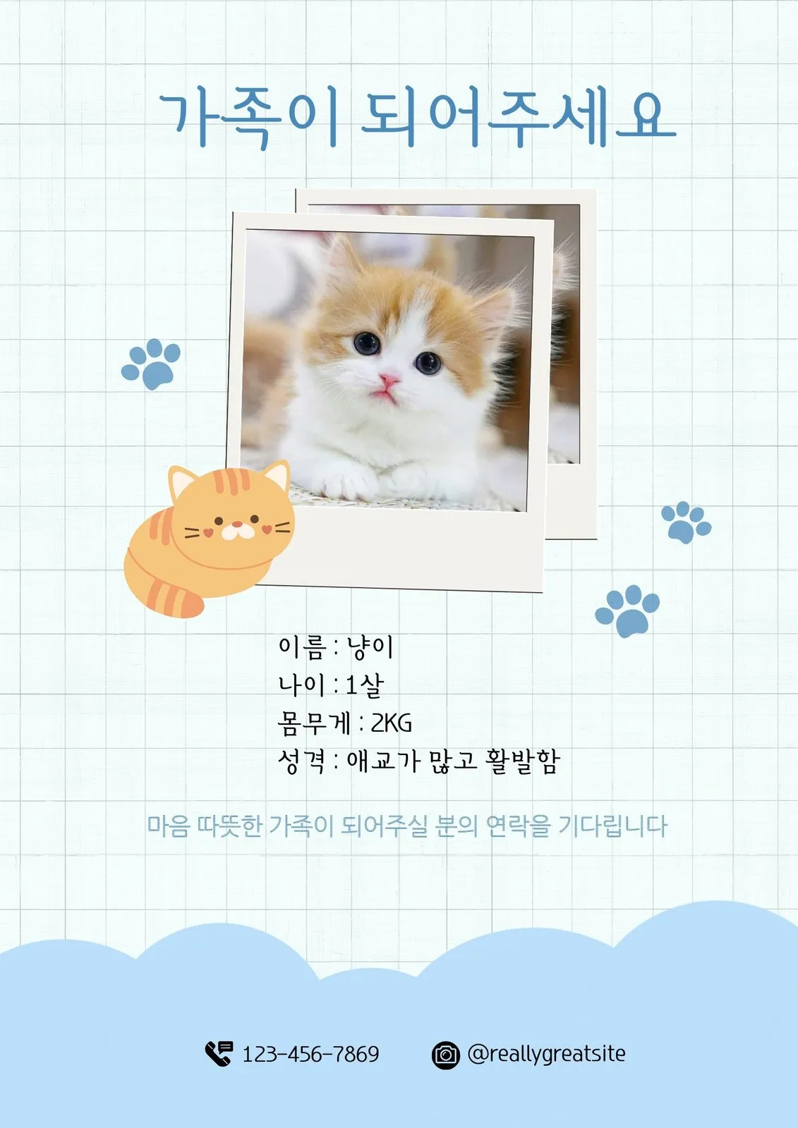 고양이 여름나기 보양식_7