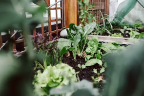 달래장의 알싸함과 참치의 고소함이 폭발하는 그리들 볶음밥