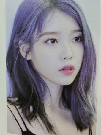 아이유 악플러 고소