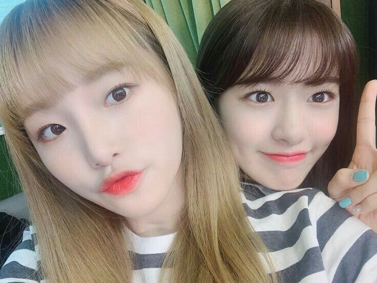 아이즈원 프로듀스48 사진 모음 아이즈원 프로듀스48 사진 모음