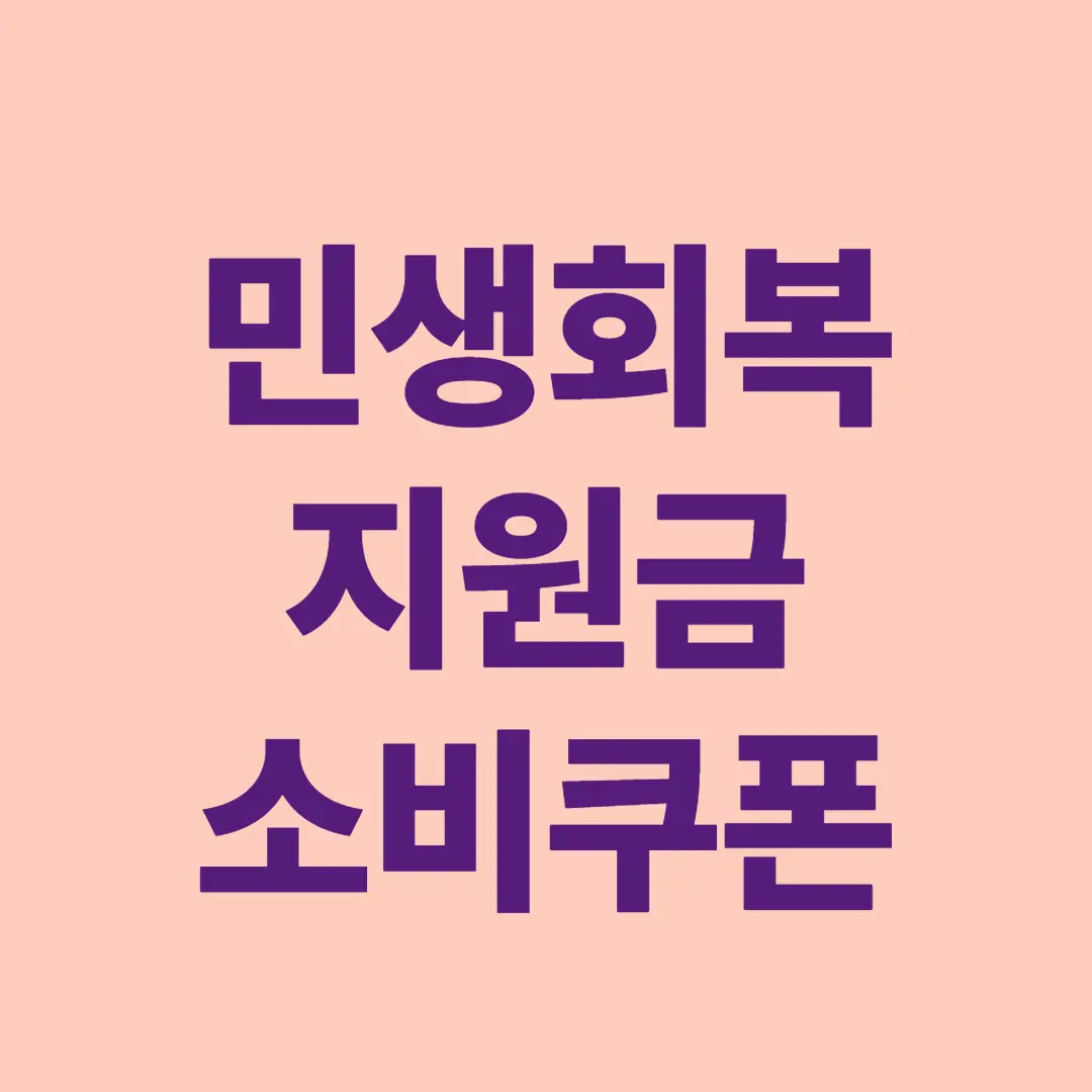2025년 민생회복 지원금 소비쿠폰
