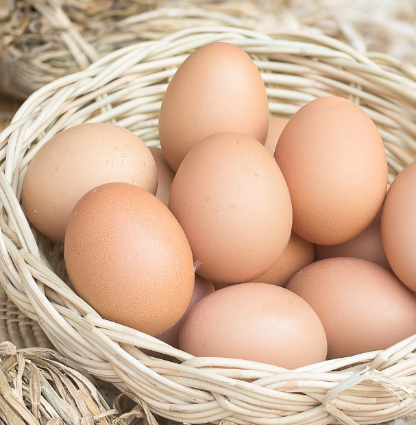 저혈압에 좋은 음식