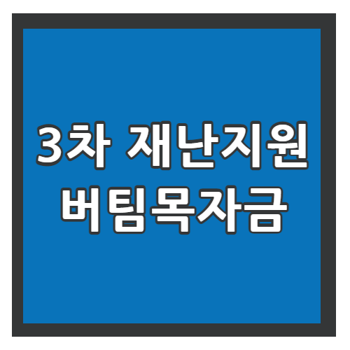 3차 재난지원금 신청방법 썸네일