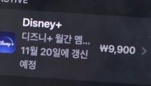 디즈니 구독 플랜