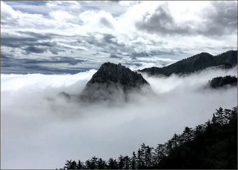 설악산 케이블카 요금 예약 및 주차장 꿀팁