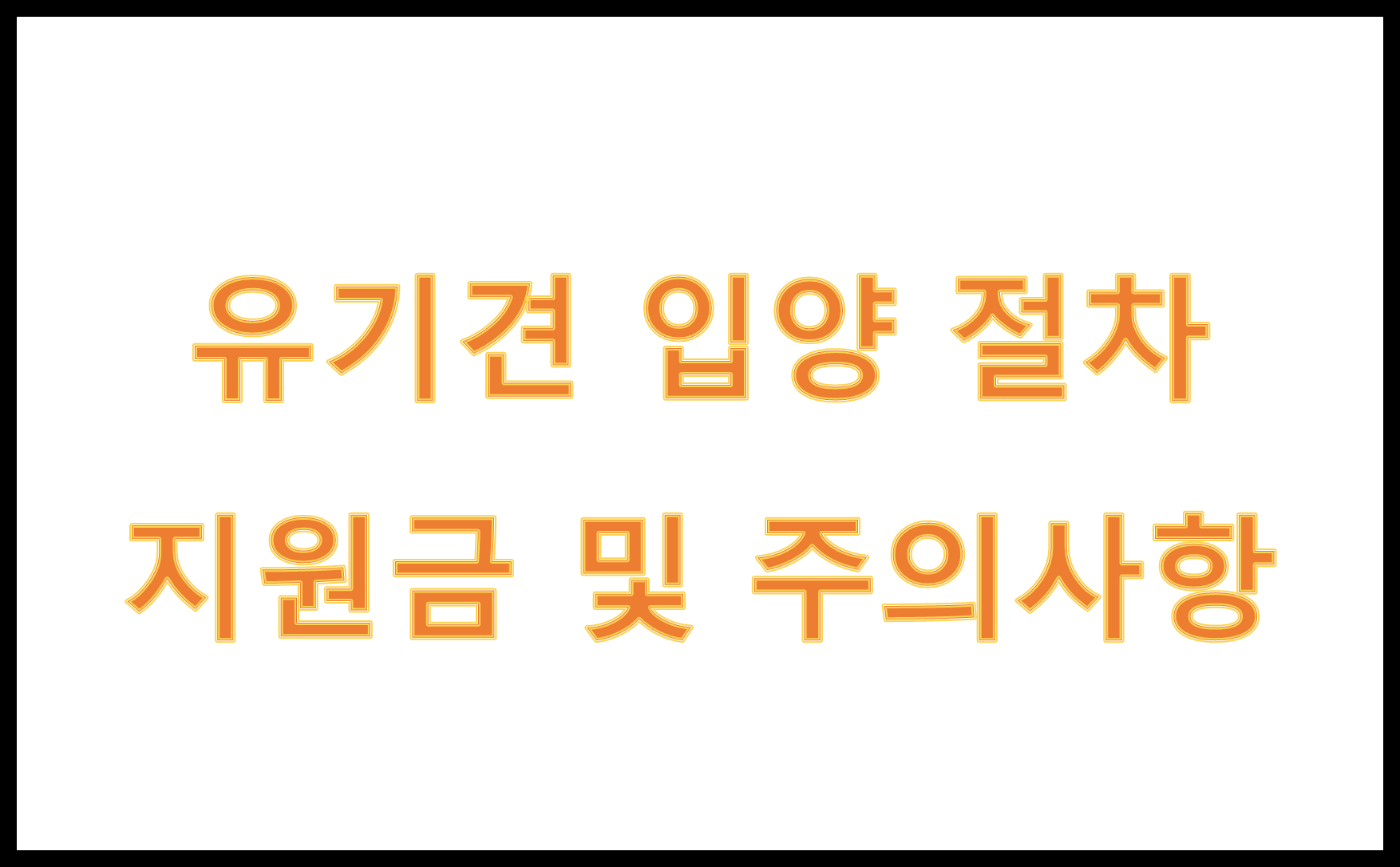 유기견 입양 절차, 지원금 및 주의사항