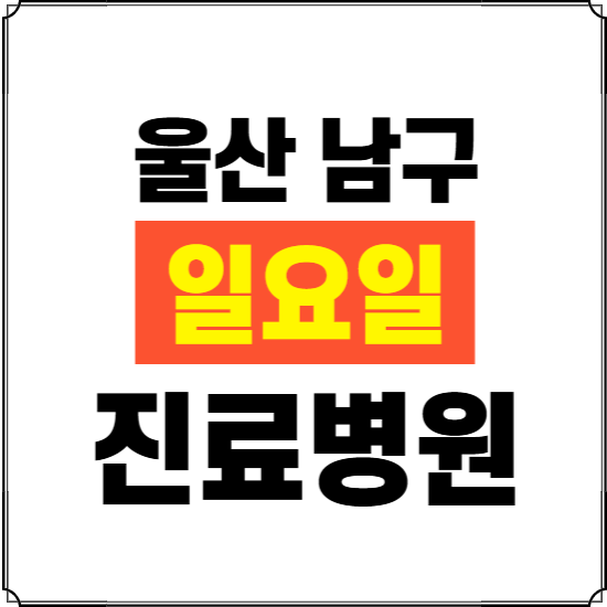 울산 남구 일요일 진료병원 찾기 ❘ 24시 휴일 주말 응급 야간 심야 문여는 병원