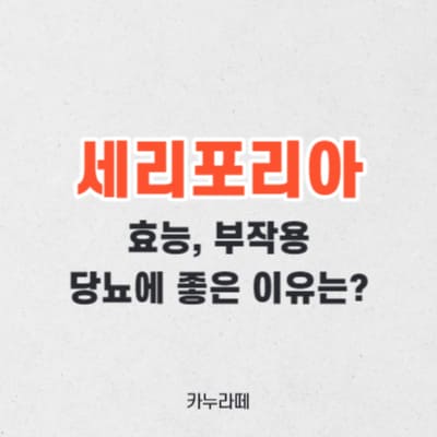 세리포리아 락세라타 효능 부작용(당뇨에 좋은 이유)