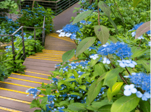 화담숲 예약 방법, 모노레일 시간