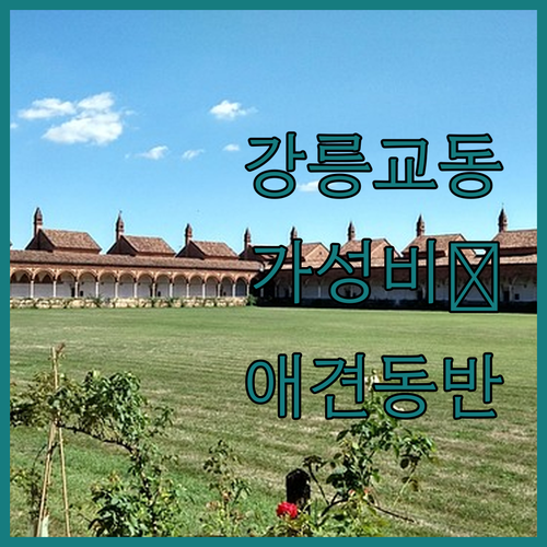 강릉 교동 숙소 베스트 가성비 좋은 ..