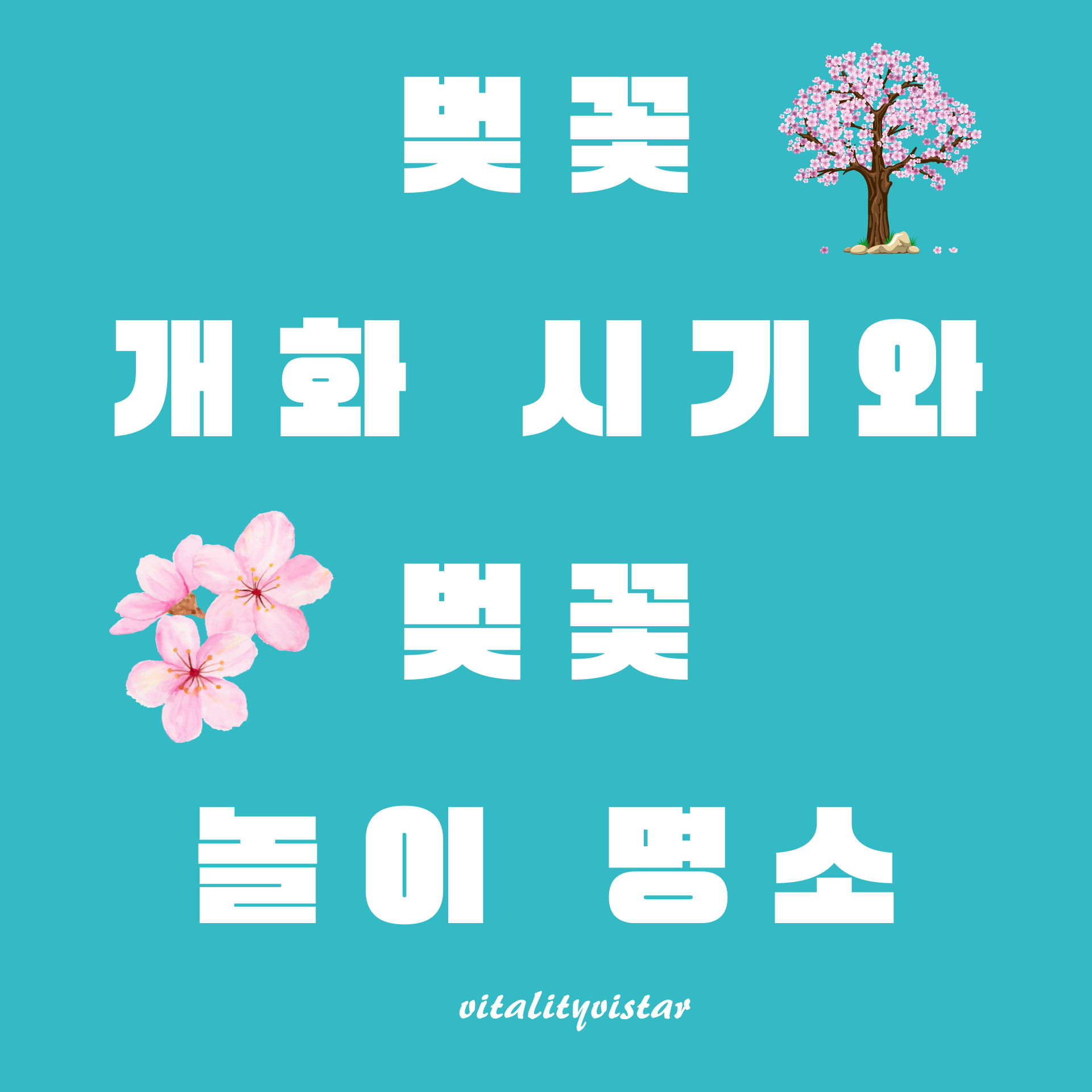 2024년 벚꽃 개화 시기와 벚꽃 놀이 명소 가이드