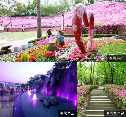 철쭉동산 사진들
