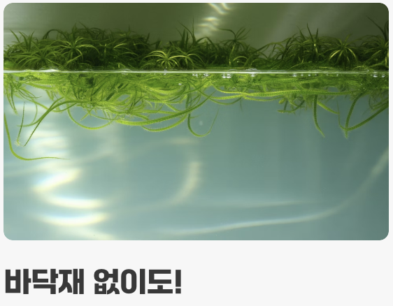 바닥재? NO! '떠다니는 숲'의 매력